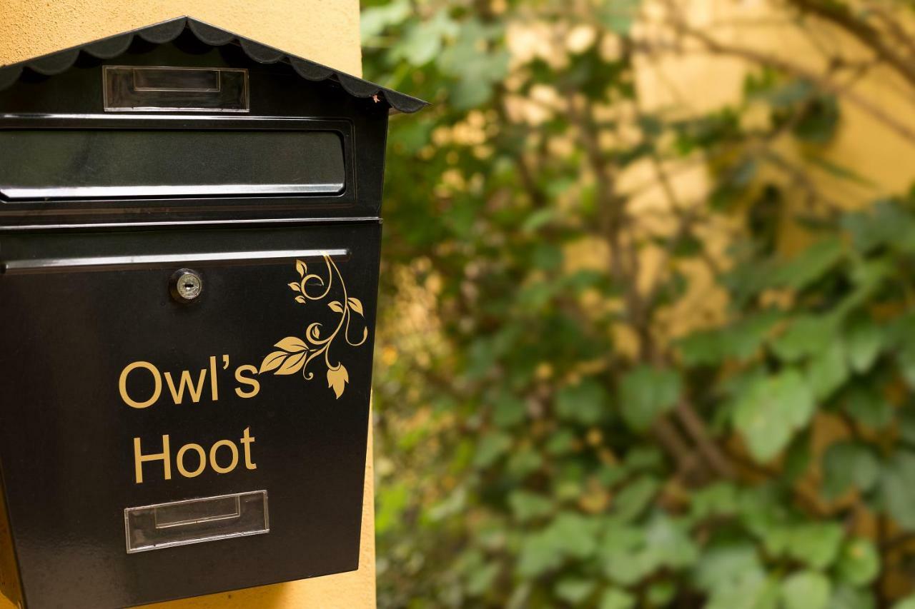 Owl'S Hoot Villa Thorndon Exteriör bild